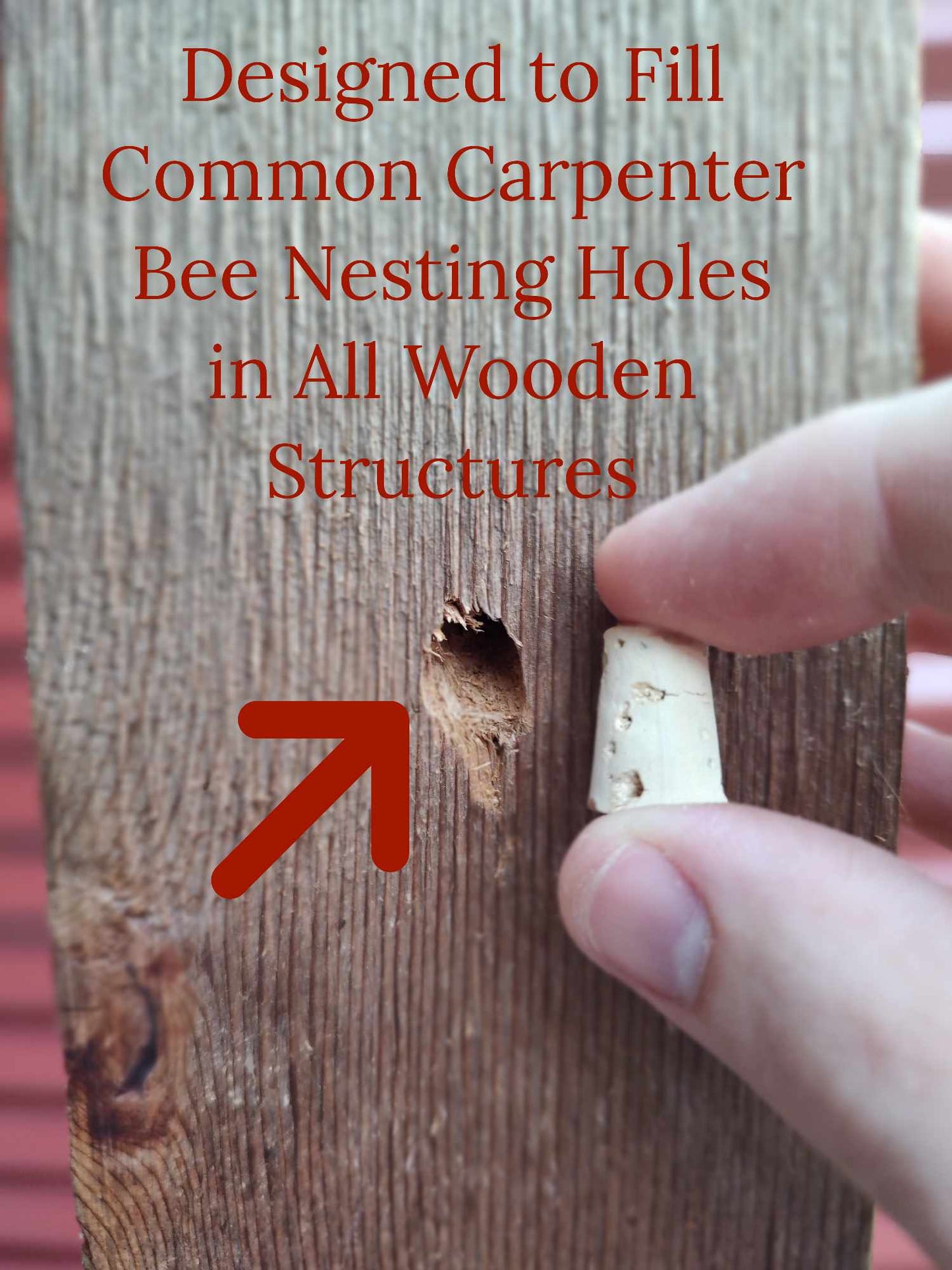 Carpenter Bee Corks (100 Pack)