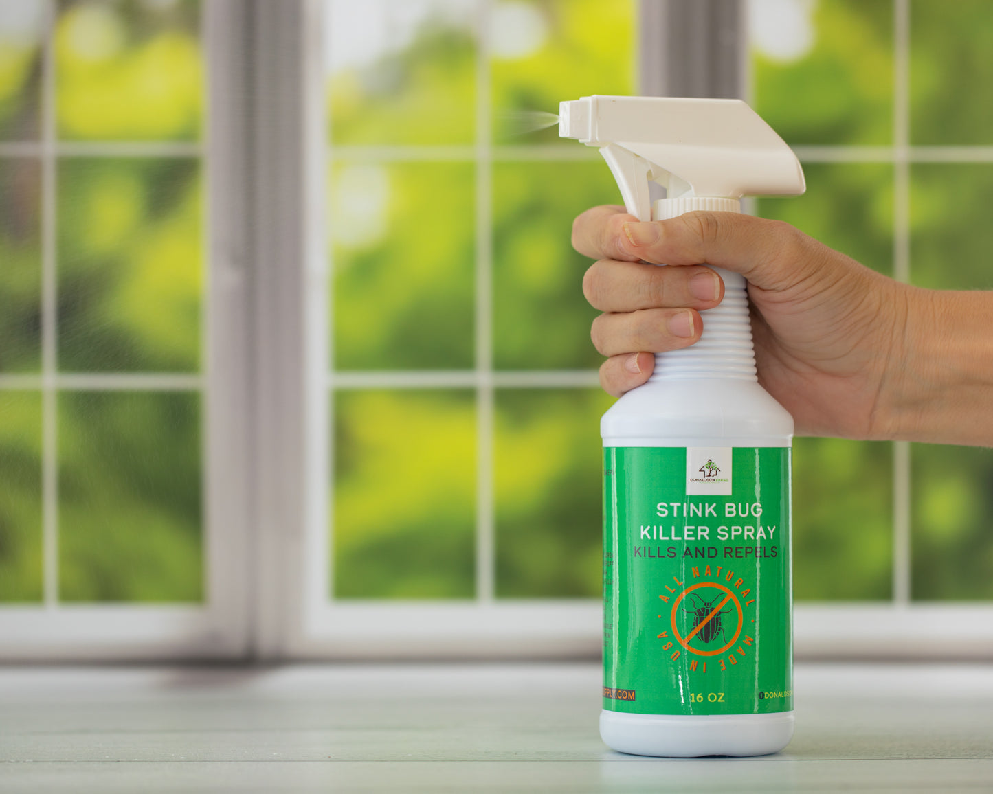 Stink Bug Killer Spray, 16oz