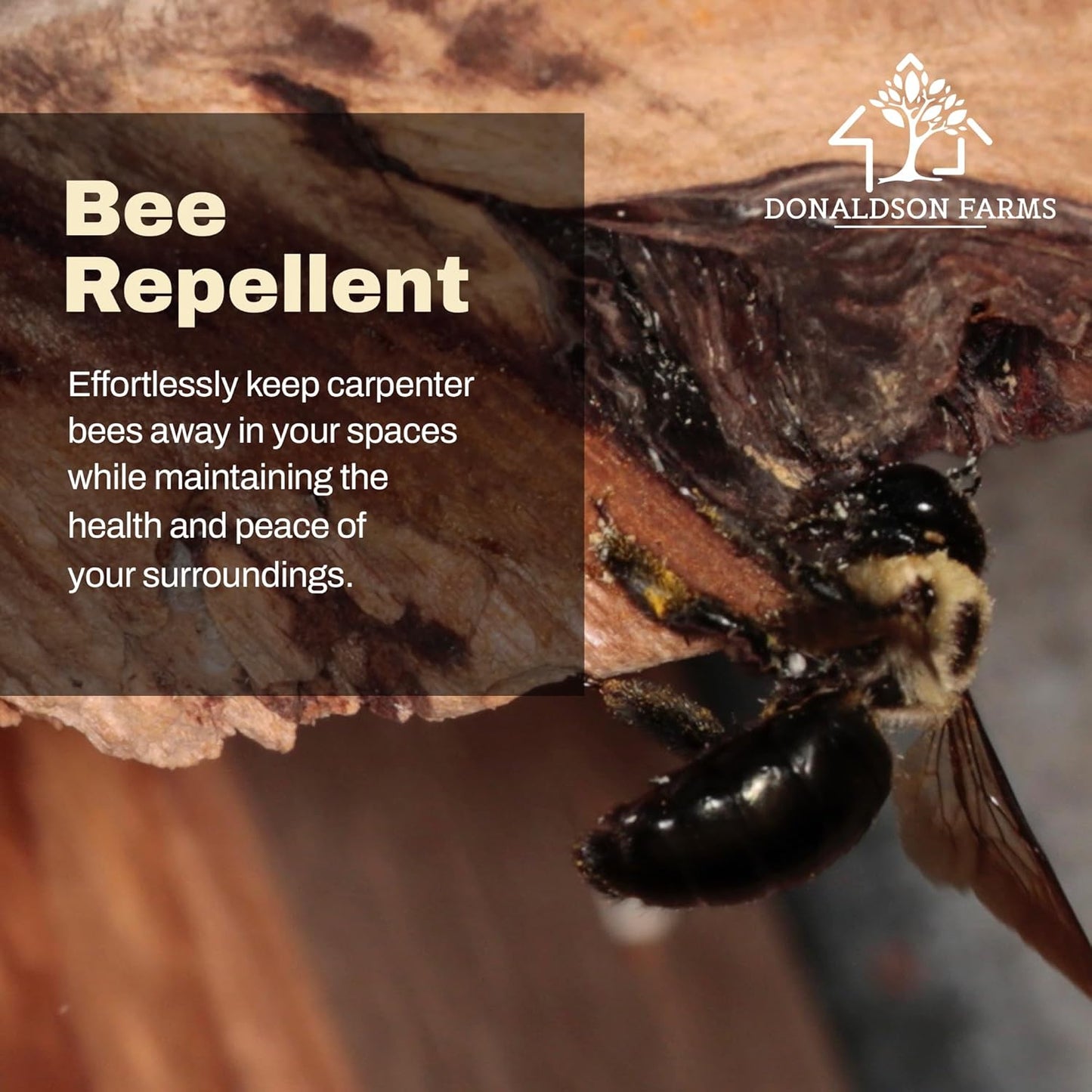 Carpenter Bee Repellent, 8 Ounce