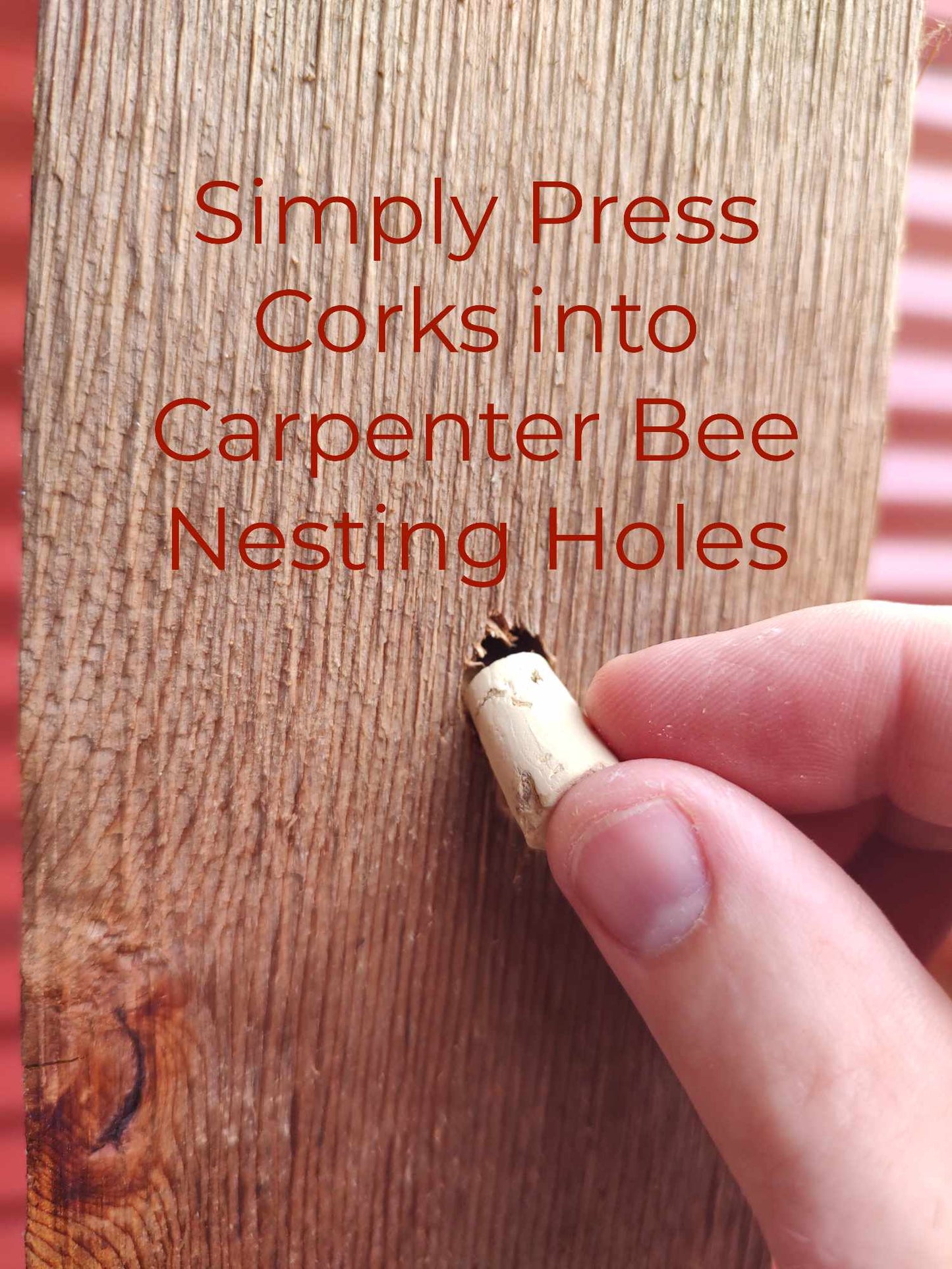 Carpenter Bee Corks (100 Pack)