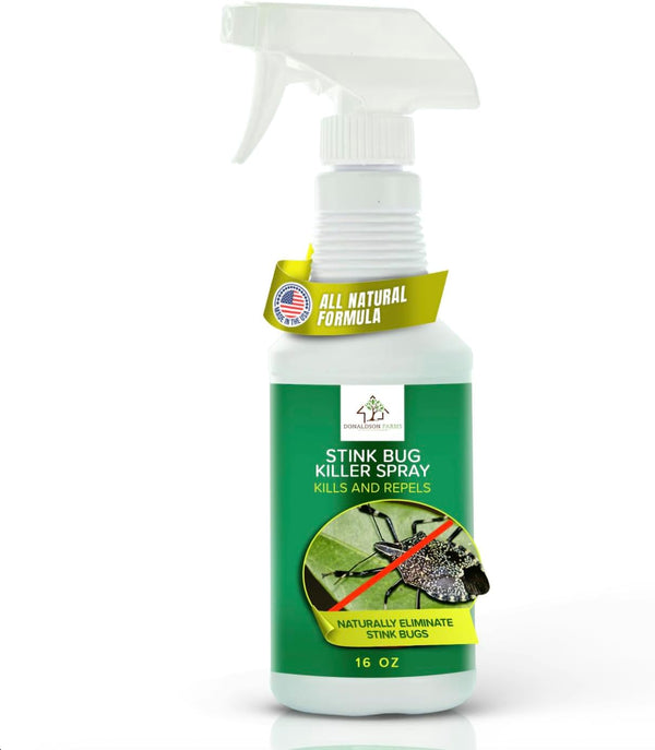 Stink bugs