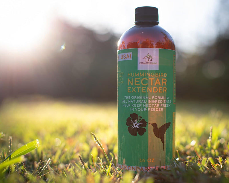 Hummingbird Nectar Extender - 16oz - Nectar Extends Nectar Life