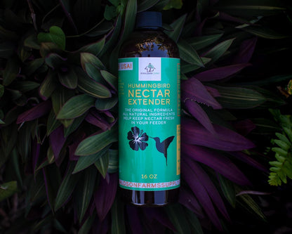 Hummingbird Nectar Extender - 16oz - Nectar Extends Nectar Life