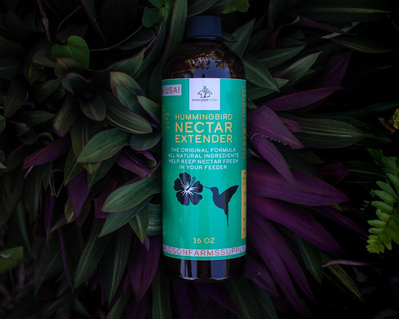 Hummingbird Nectar Extender - 16oz - Nectar Extends Nectar Life
