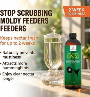 Hummingbird Nectar Extender - 16oz - Nectar Extends Nectar Life