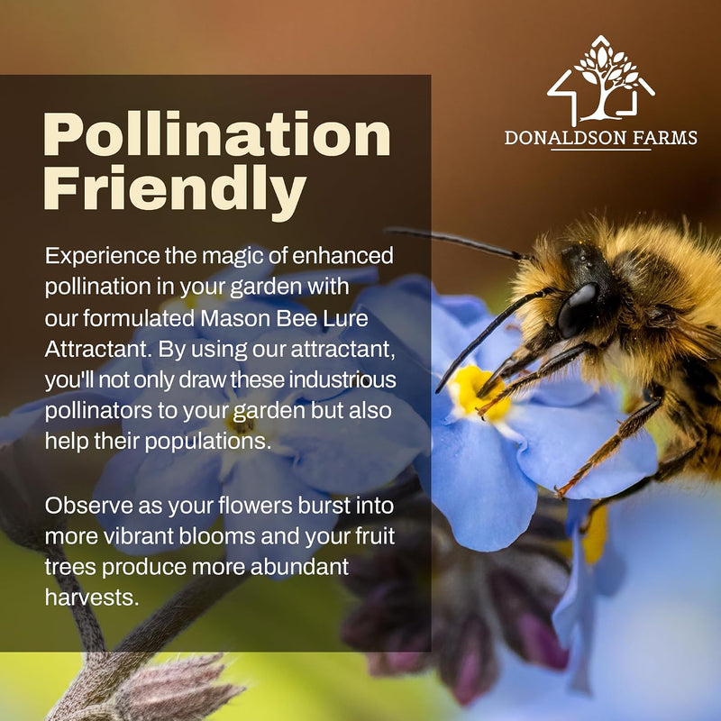 Mason Bee Attractant, 2 Ounce