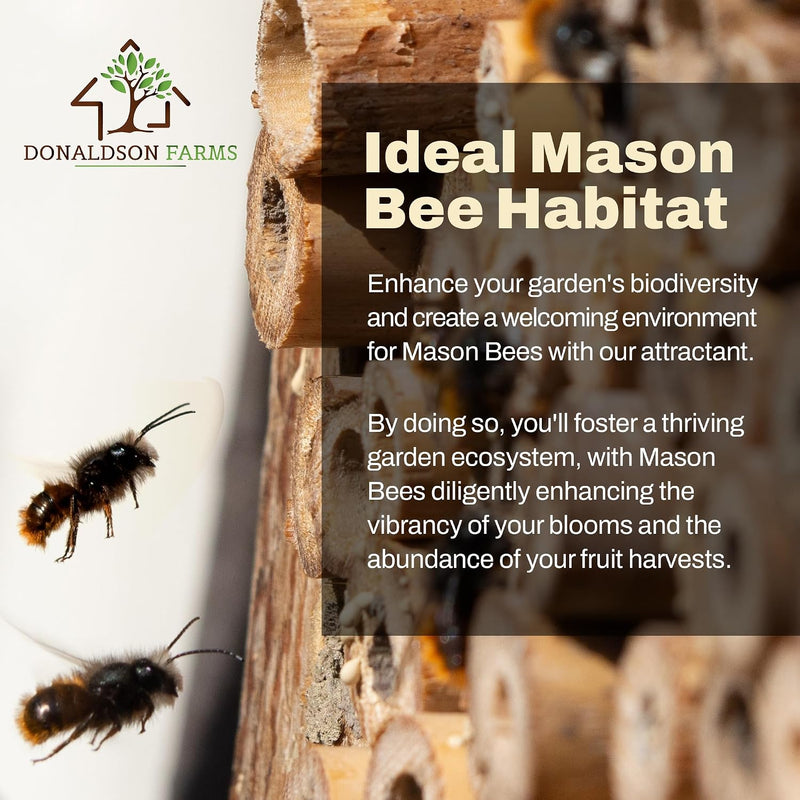 Mason Bee Attractant, 2 Ounce
