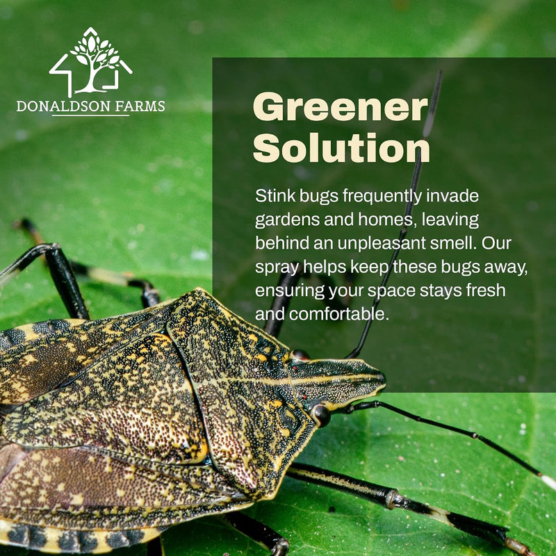Stink Bug Killer Spray, 16oz