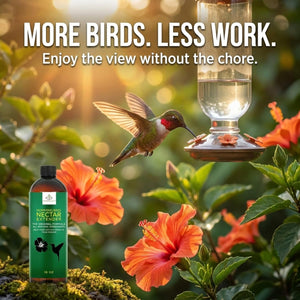 Hummingbird Nectar Extender - 16oz - Nectar Extends Nectar Life